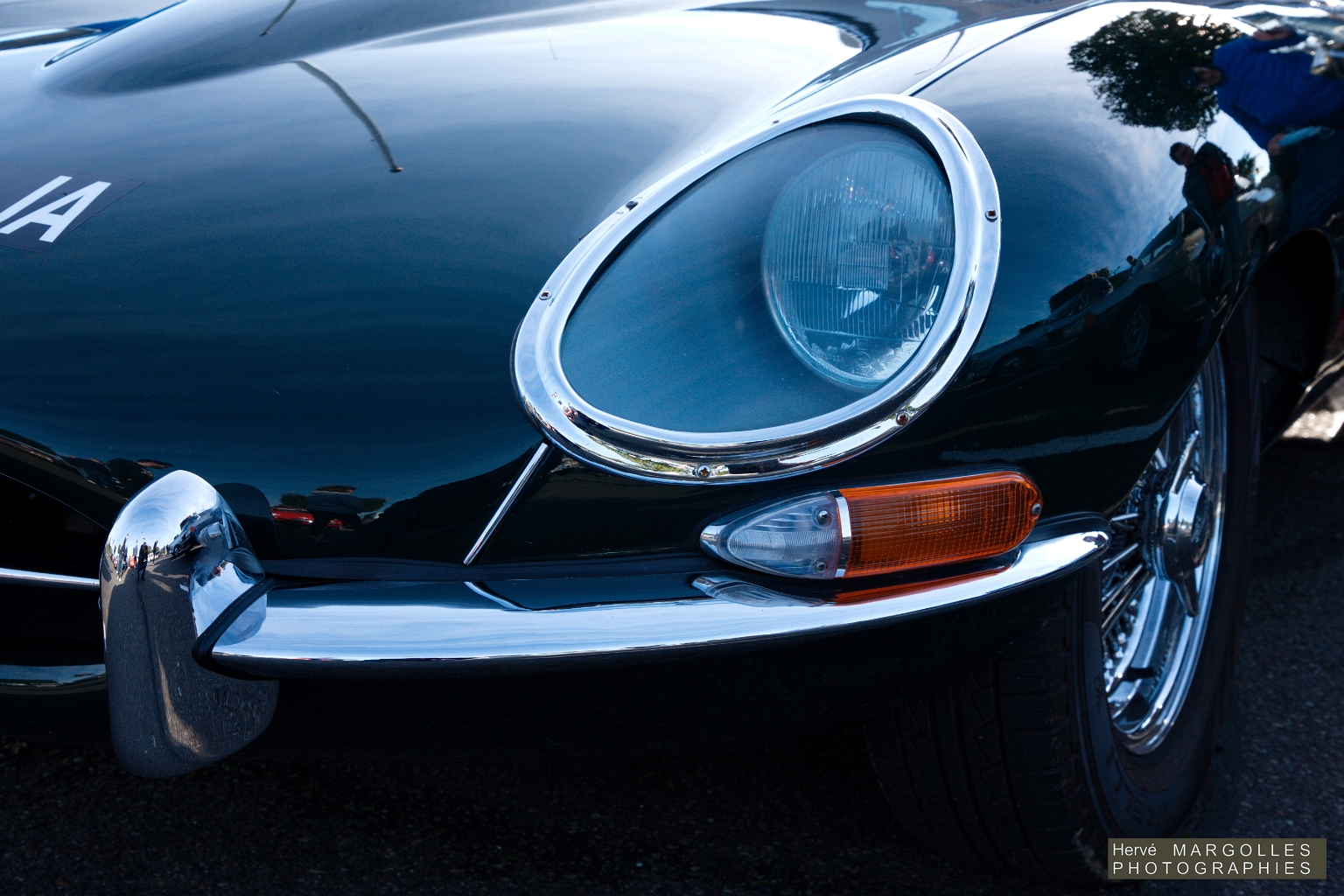 Jaguar Type E-02.jpg